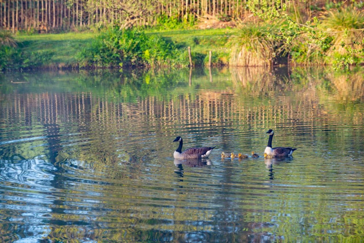 Rosefinch Sleeps 2 Persons-Private Hot Tub-Tranquil Holiday Away From It All Yet Not Far From St Austell- The Holiday Home Has One Bedroom, Living And Dining Area, Equipped Kitchen-Decking-Outdoor Furniture-Fishing Lakes-Non Pet Unit 外观 照片